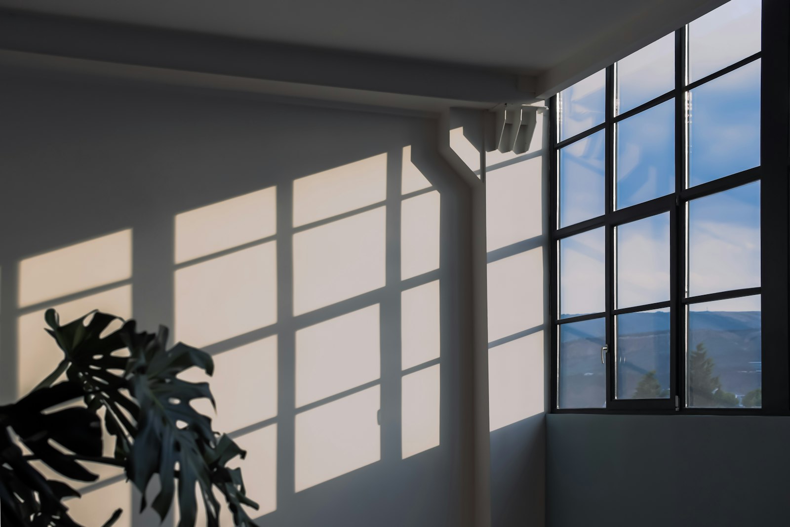 A bright, open, sunlit room - transparency and clarity